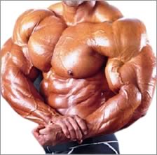 What should i do for my first cycle of steroids